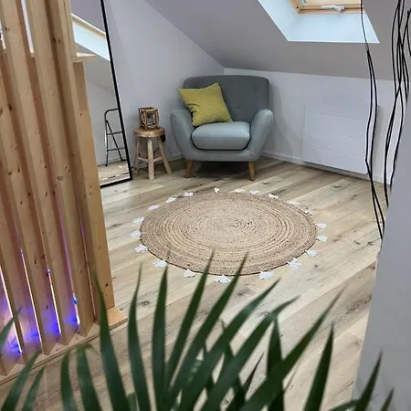 Apartamento Loft Ravissant Avec Parking Gratuit Colmar