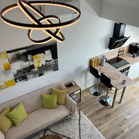 Loft Ravissant Avec Parking Gratuit