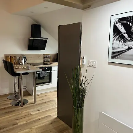 Loft Ravissant Avec Parking Gratuit * Κολμάρ