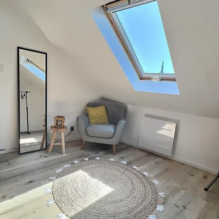 Loft Ravissant Avec Parking Gratuit Κολμάρ