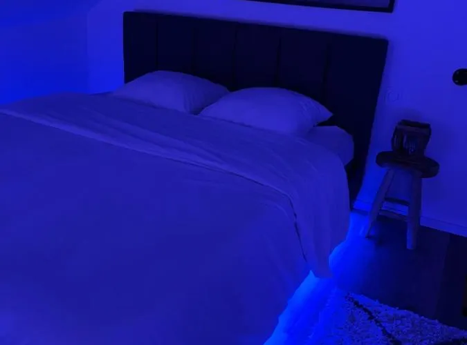 Apartment Loft Ravissant Avec Parking Gratuit Colmar