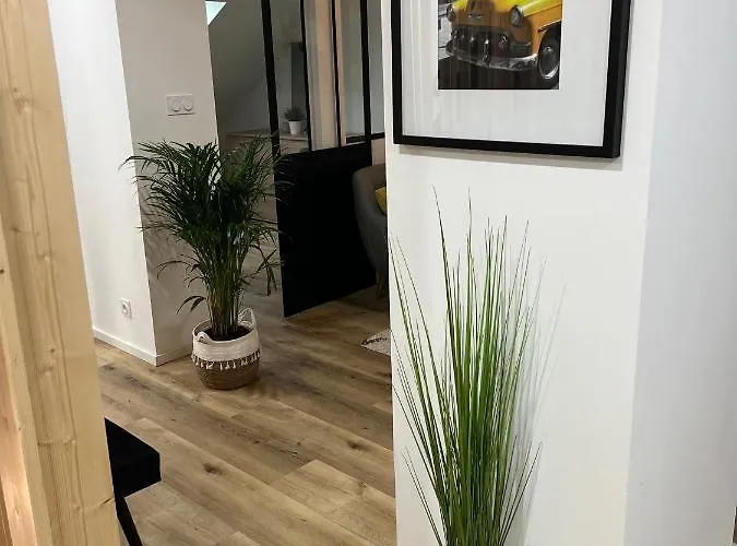 Loft Ravissant Avec Parking Gratuit Lejlighed Colmar