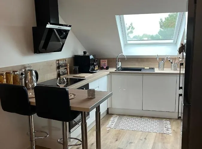 Loft Ravissant Avec Parking Gratuit Lejlighed Colmar