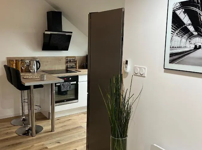 Loft Ravissant Avec Parking Gratuit * Colmar